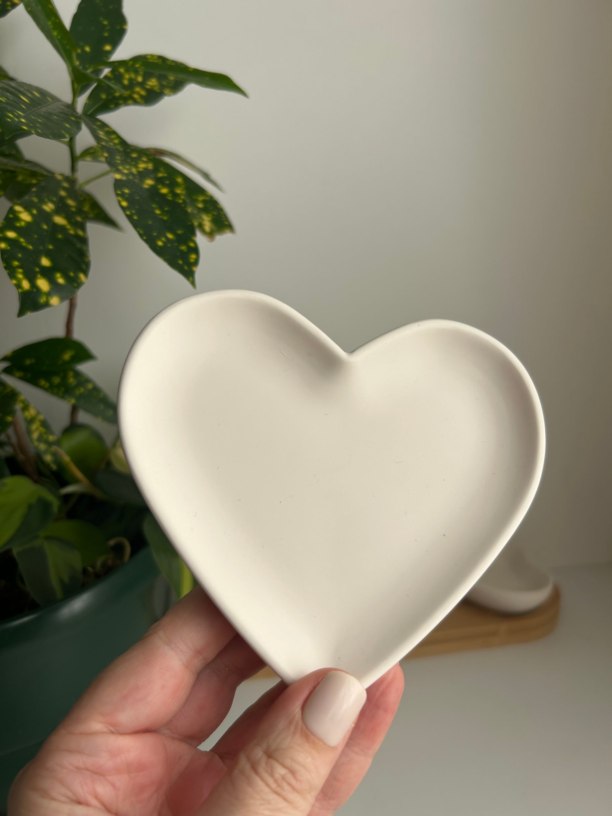 Heart-shaped white ceramic dish held by a hand with a plant in the background