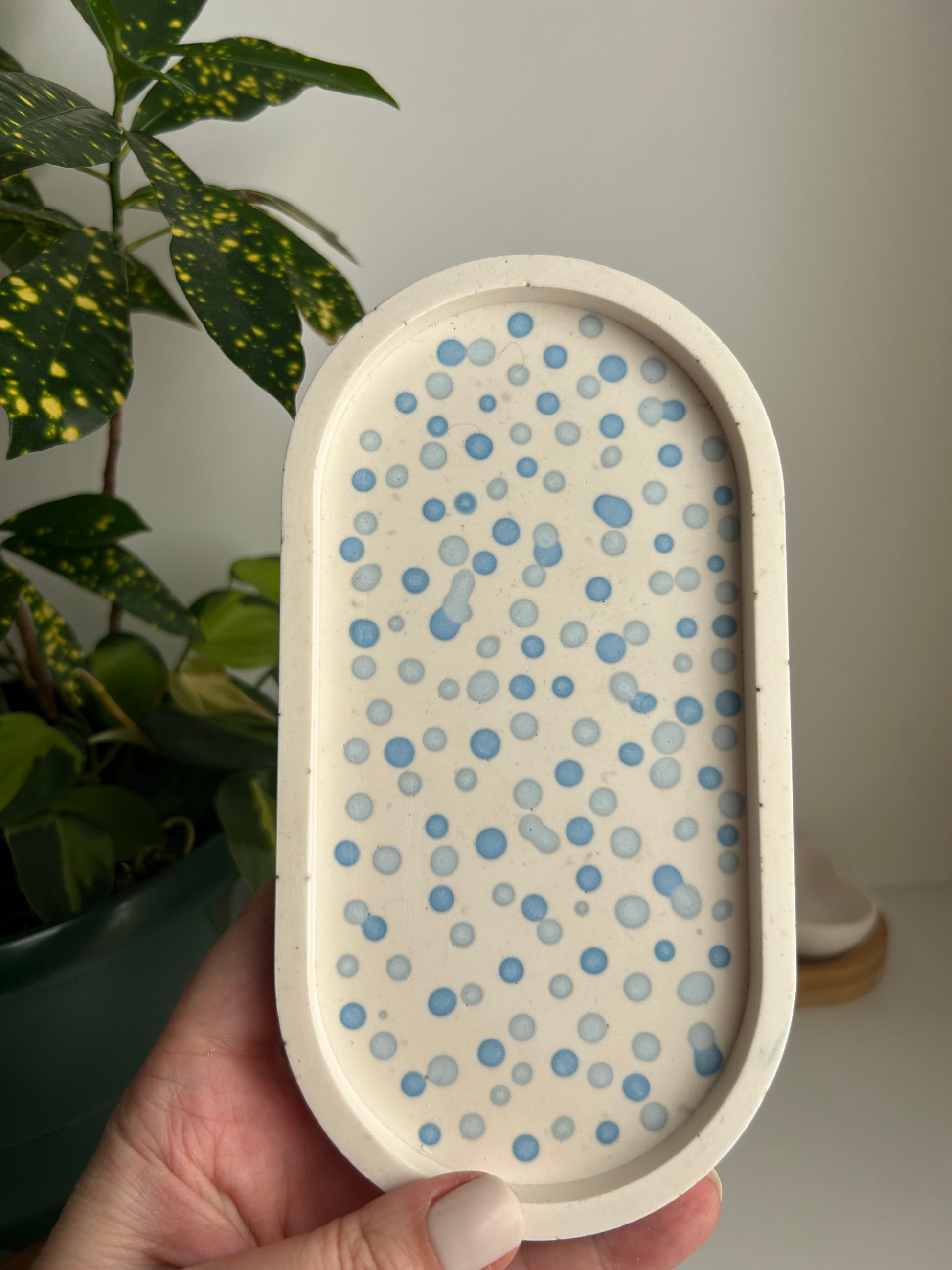 Hand holding a white tray with blue dot pattern against a neutral background