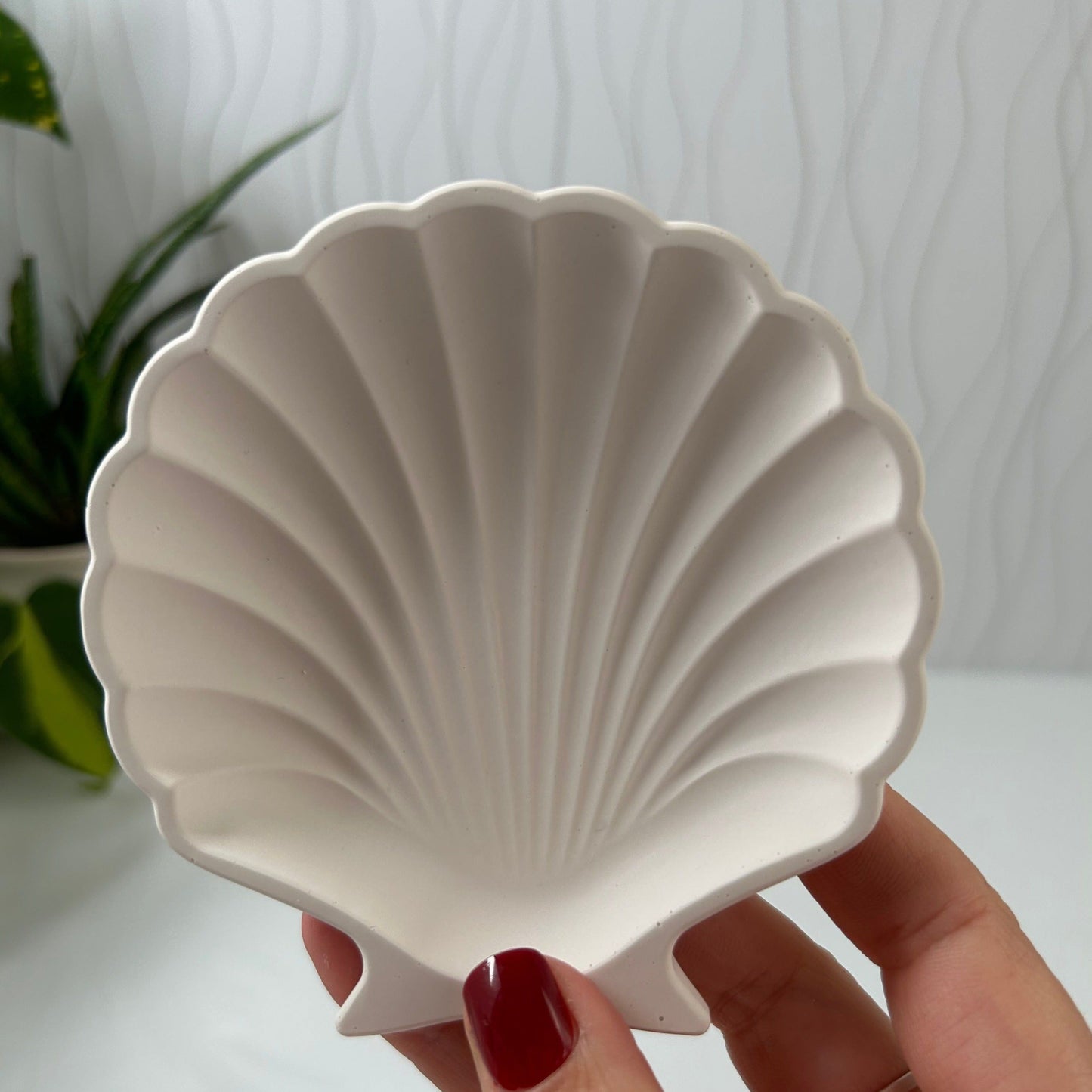 Clam shell jewellery trays