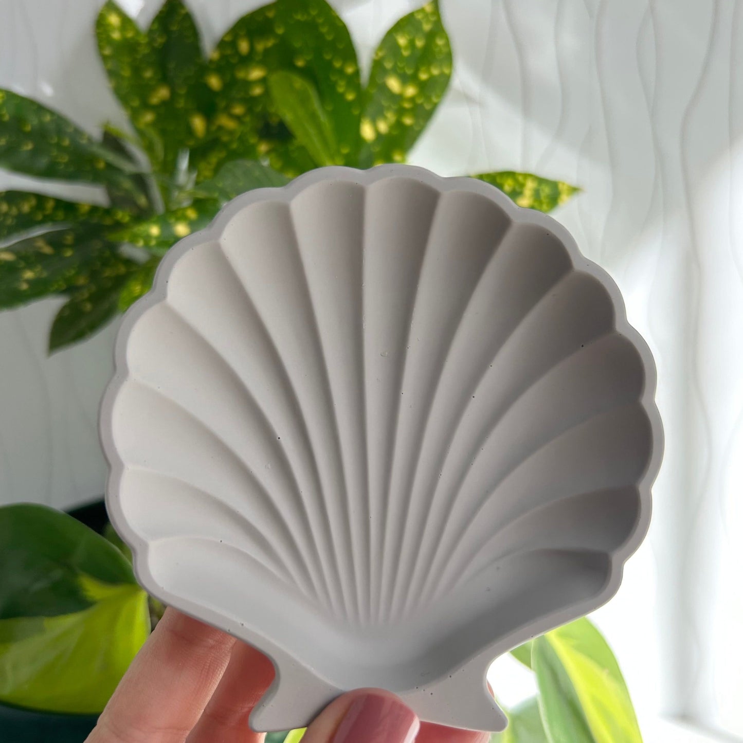 Clam shell jewellery trays