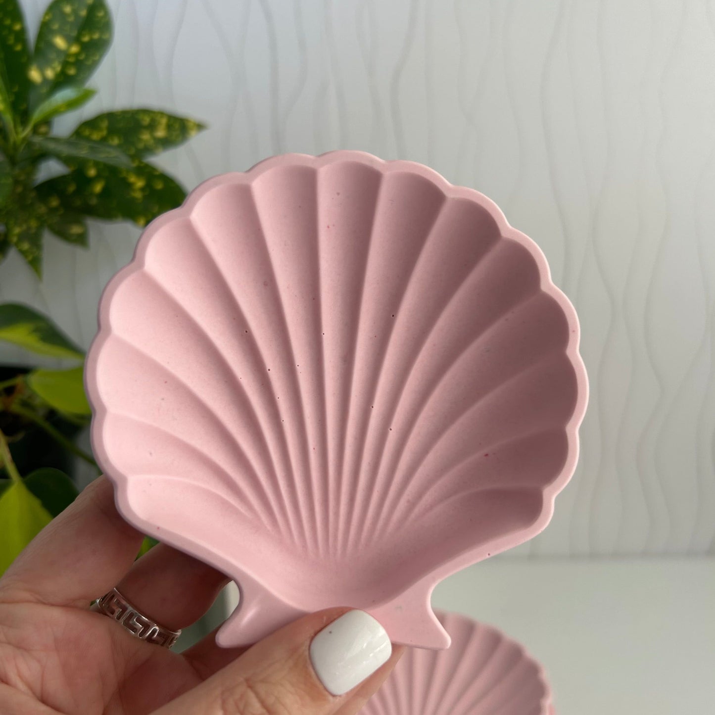 Clam shell jewellery trays