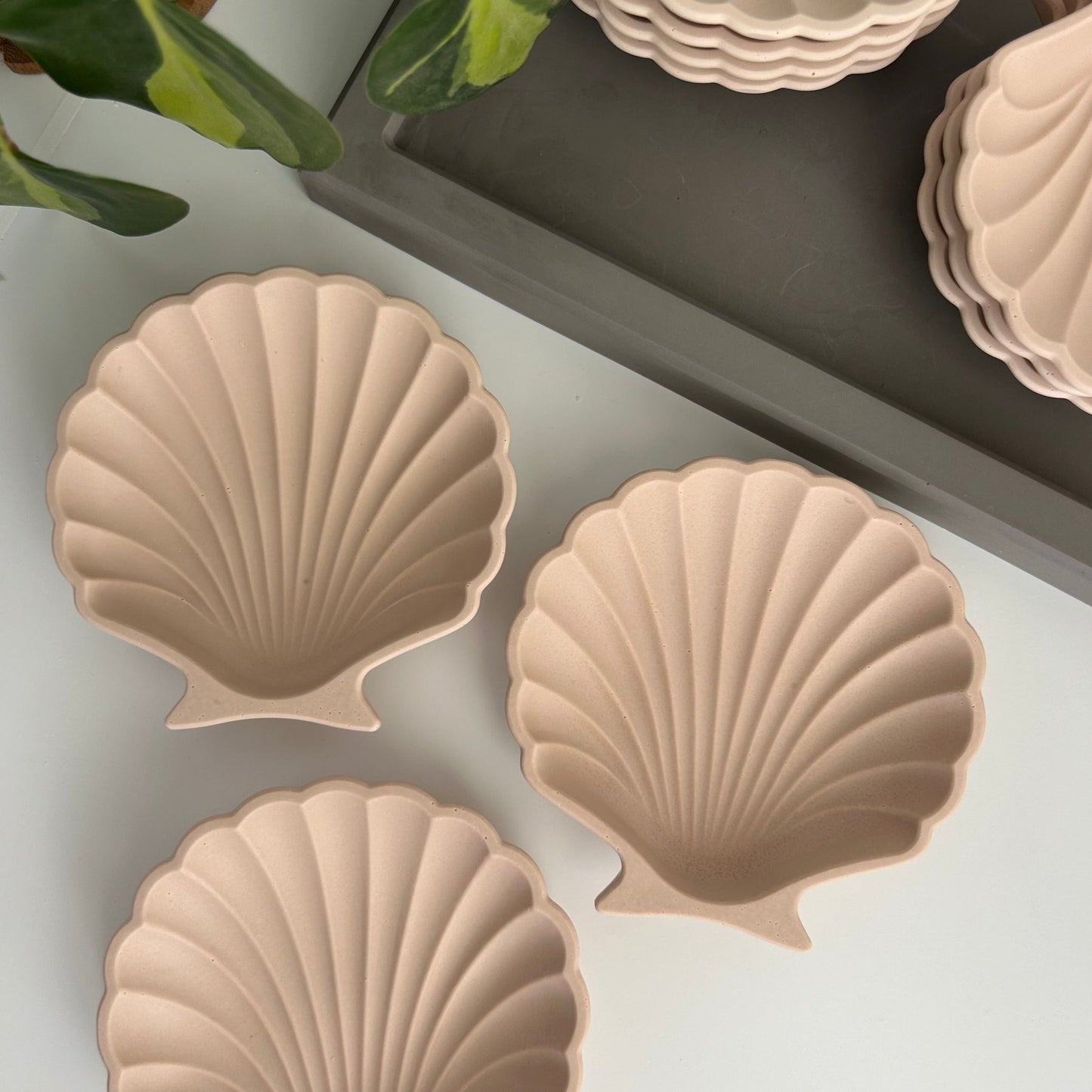 Clam shell jewellery trays