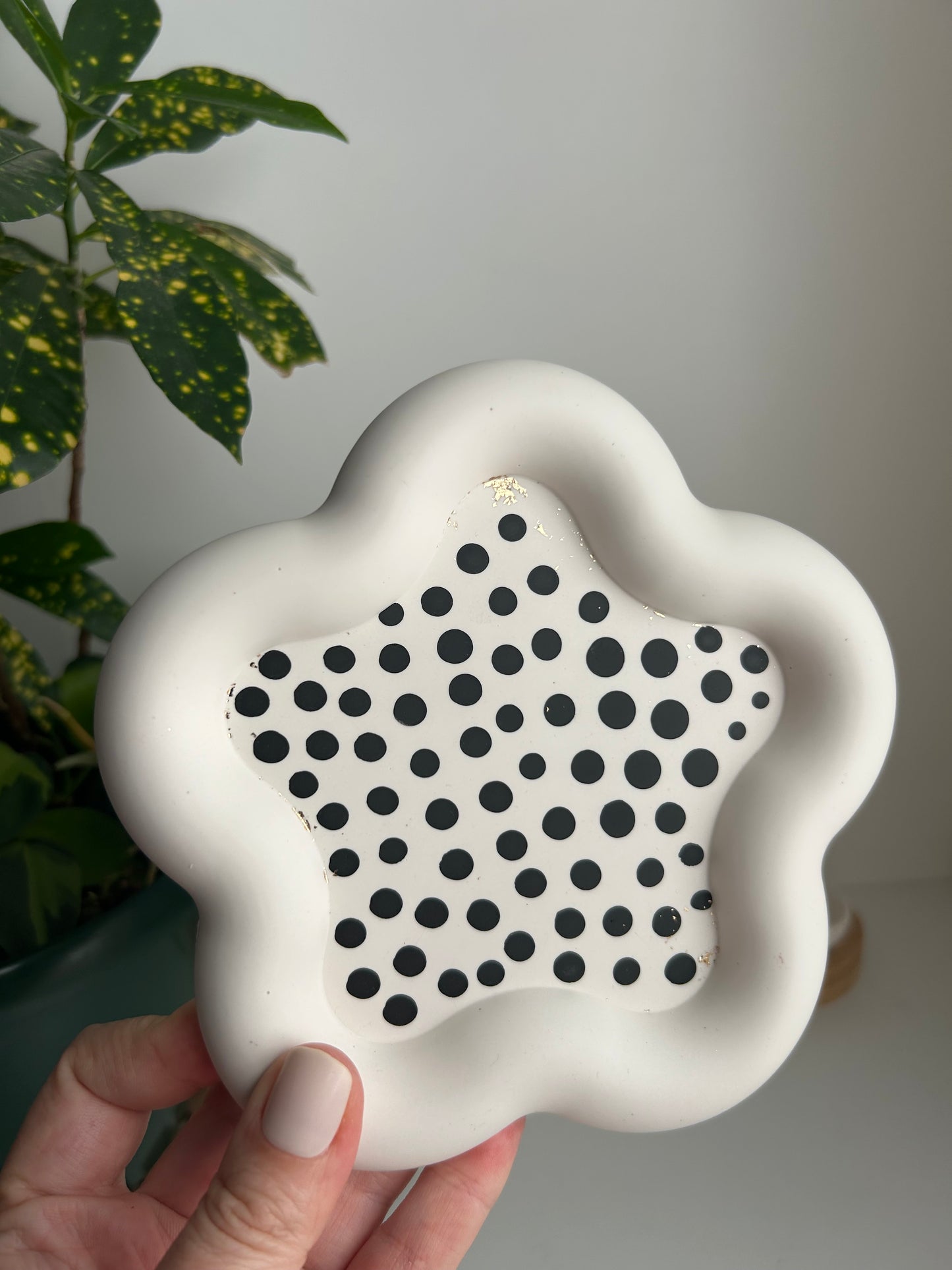 ZERO waste Collection