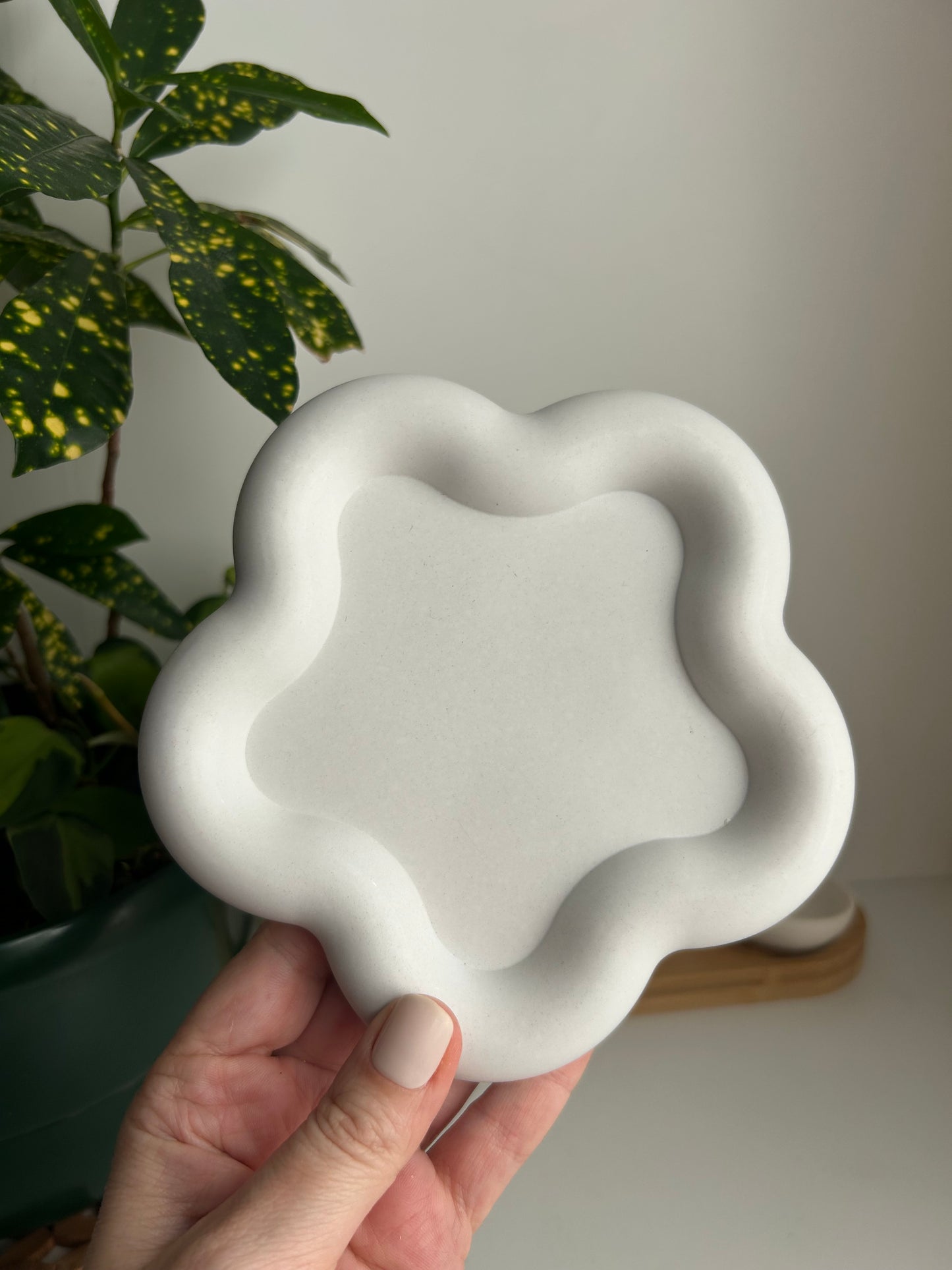 ZERO waste Collection