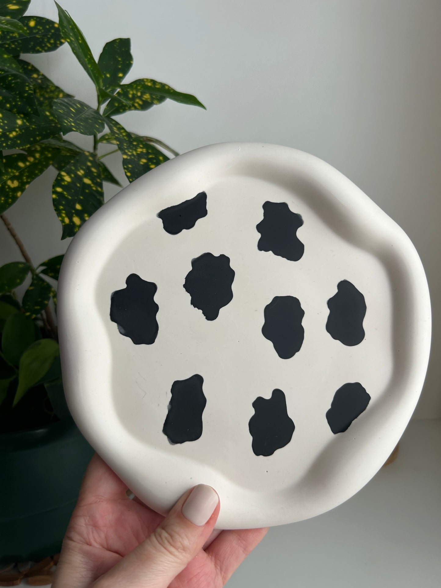 ZERO waste Collection
