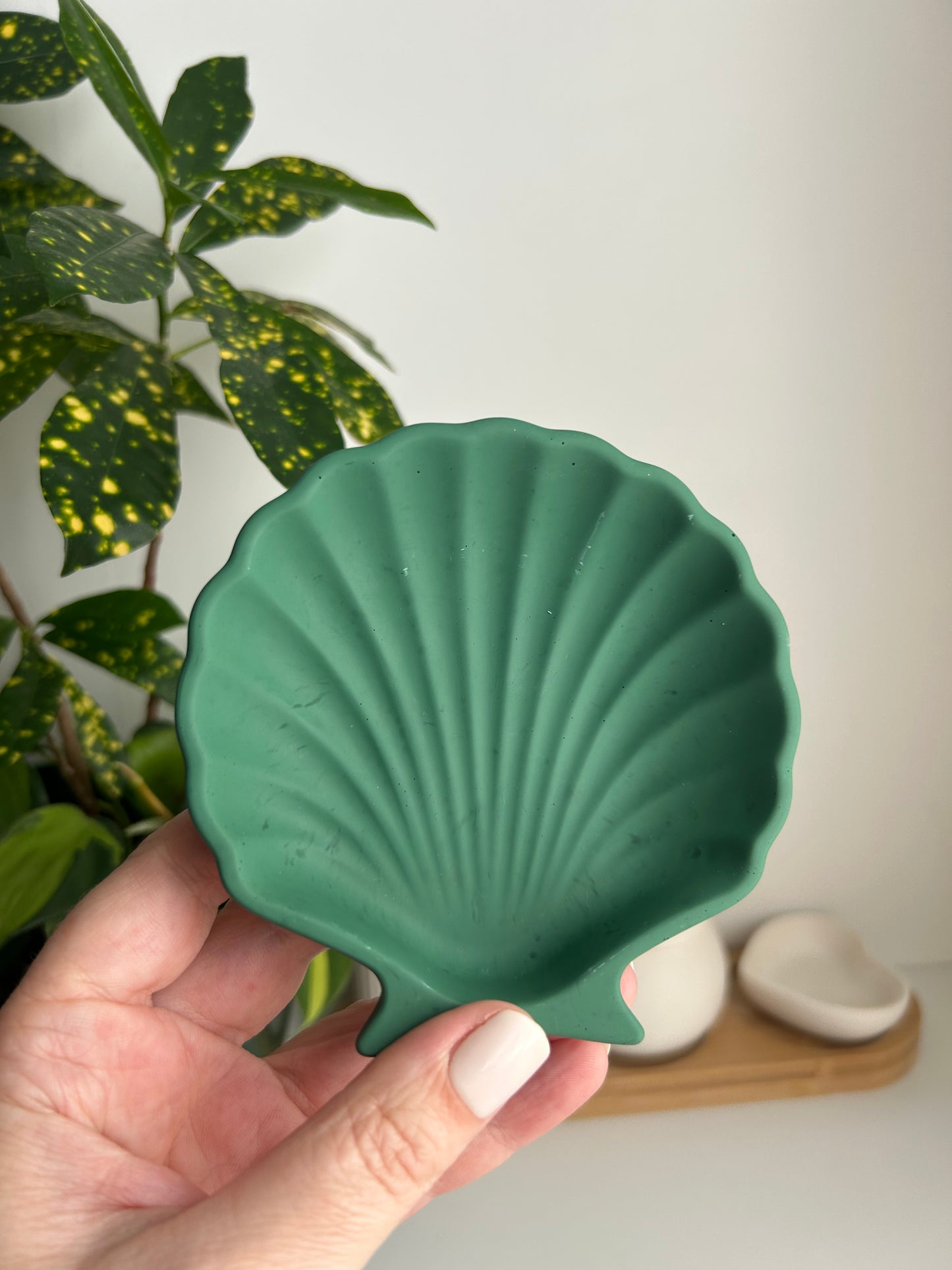 ZERO waste Collection