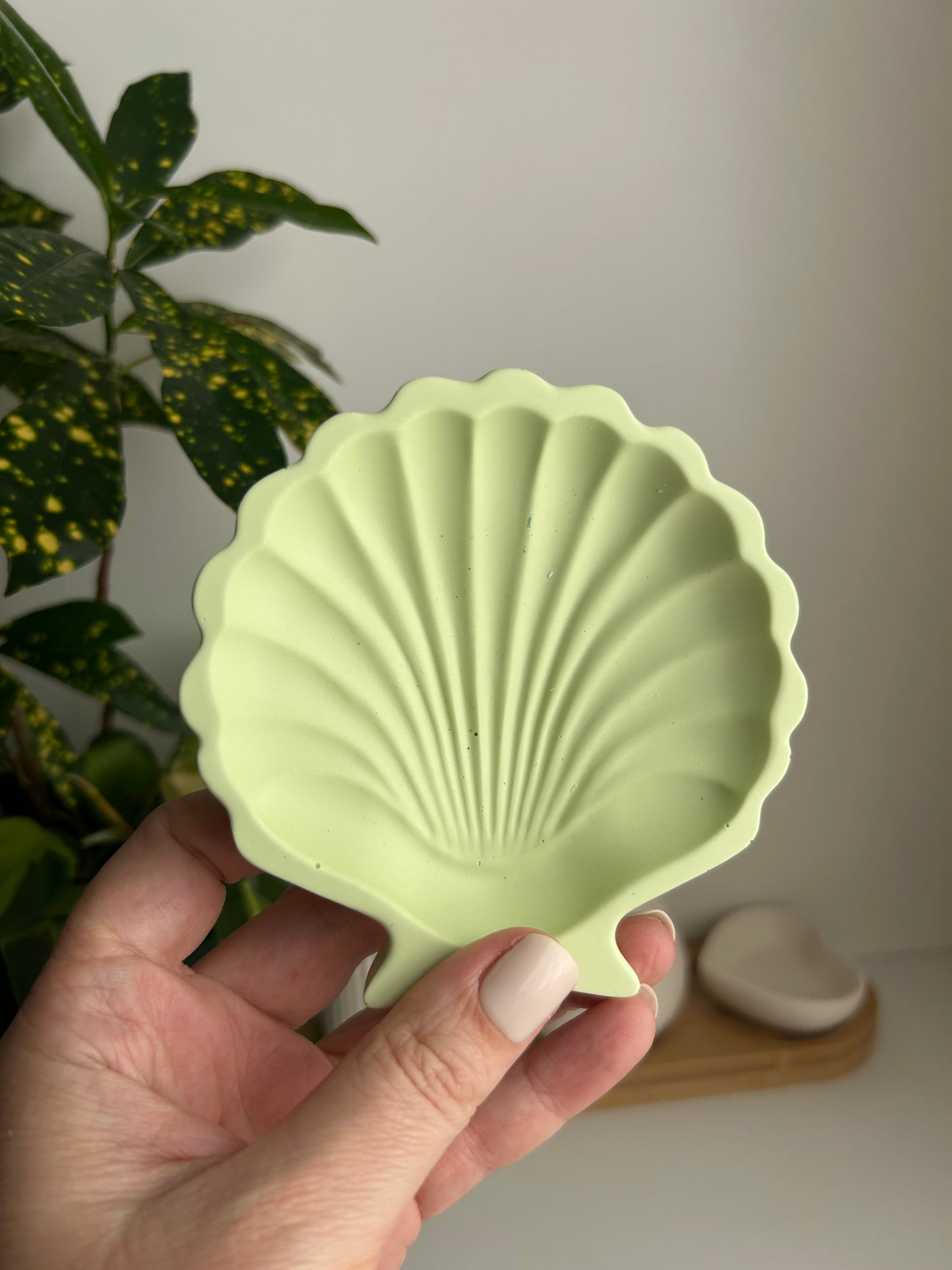 ZERO waste Collection
