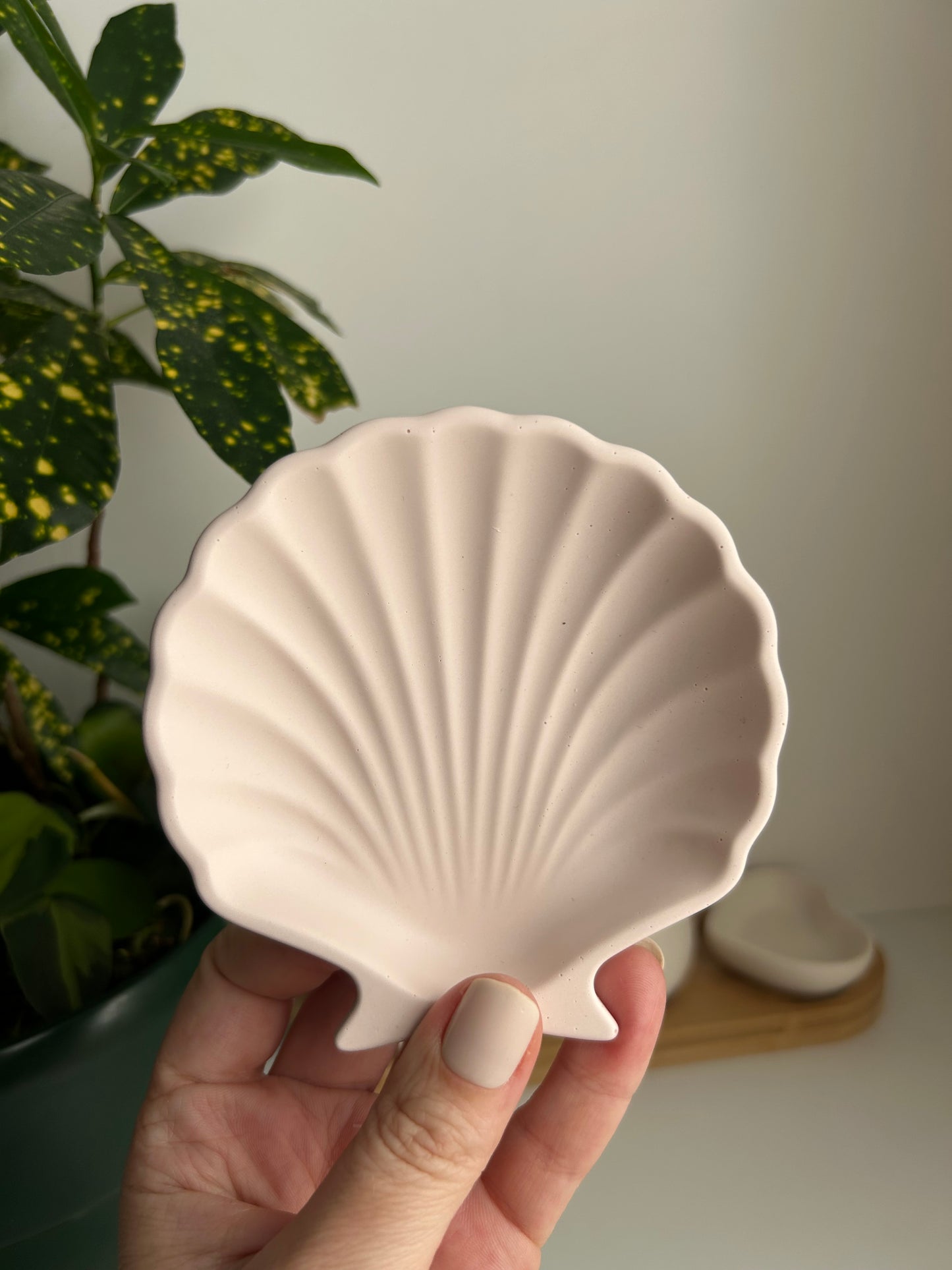ZERO waste Collection