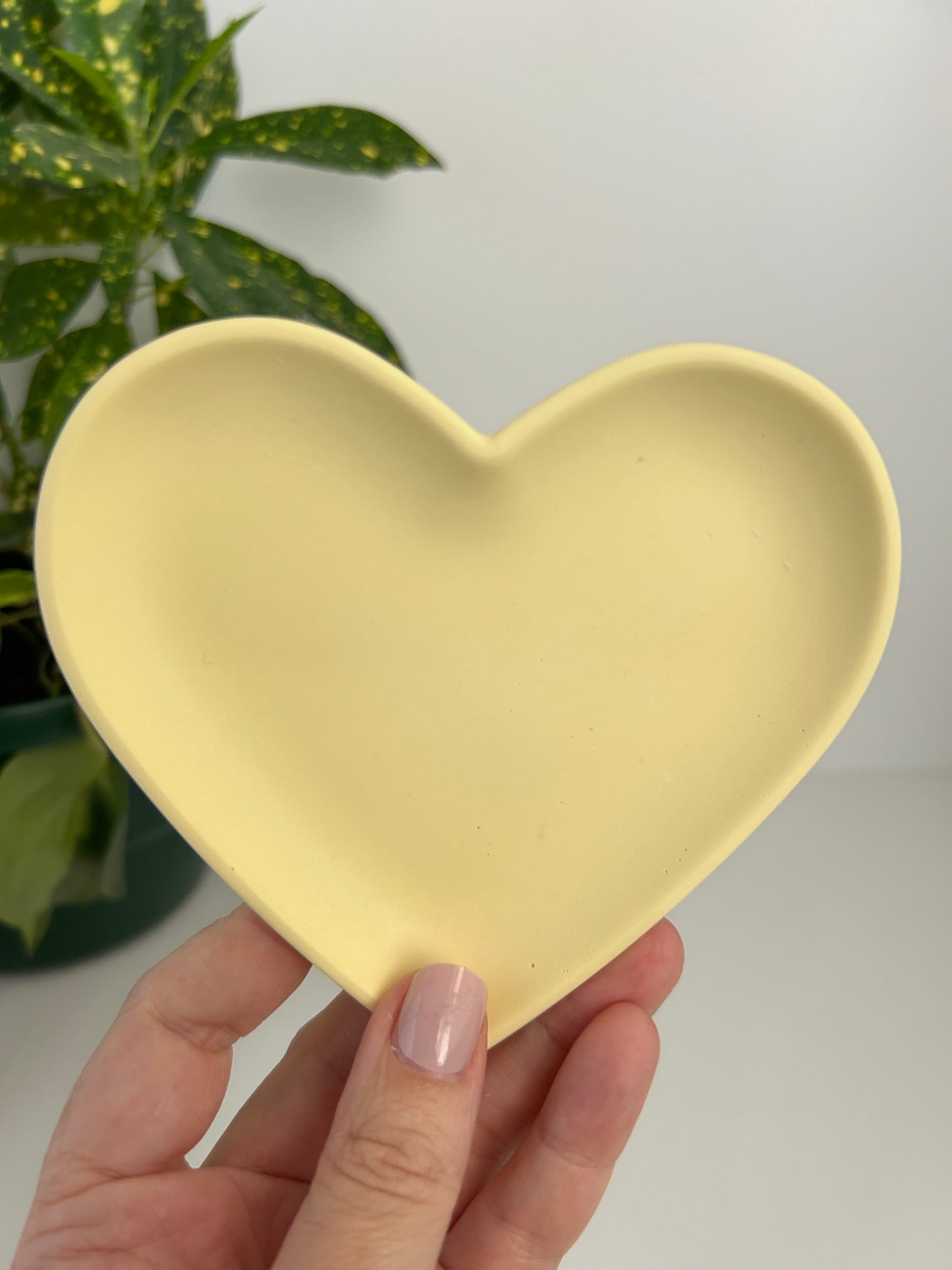 A pair of pastel heart trays